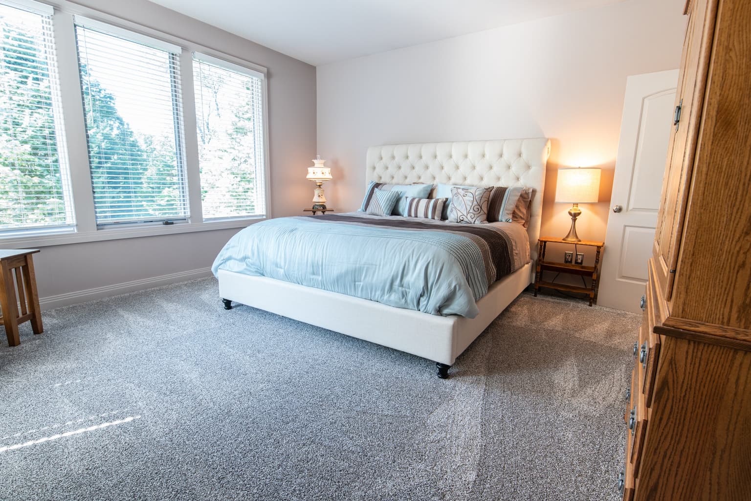 Carpet cleaning in Belle Meade, TN