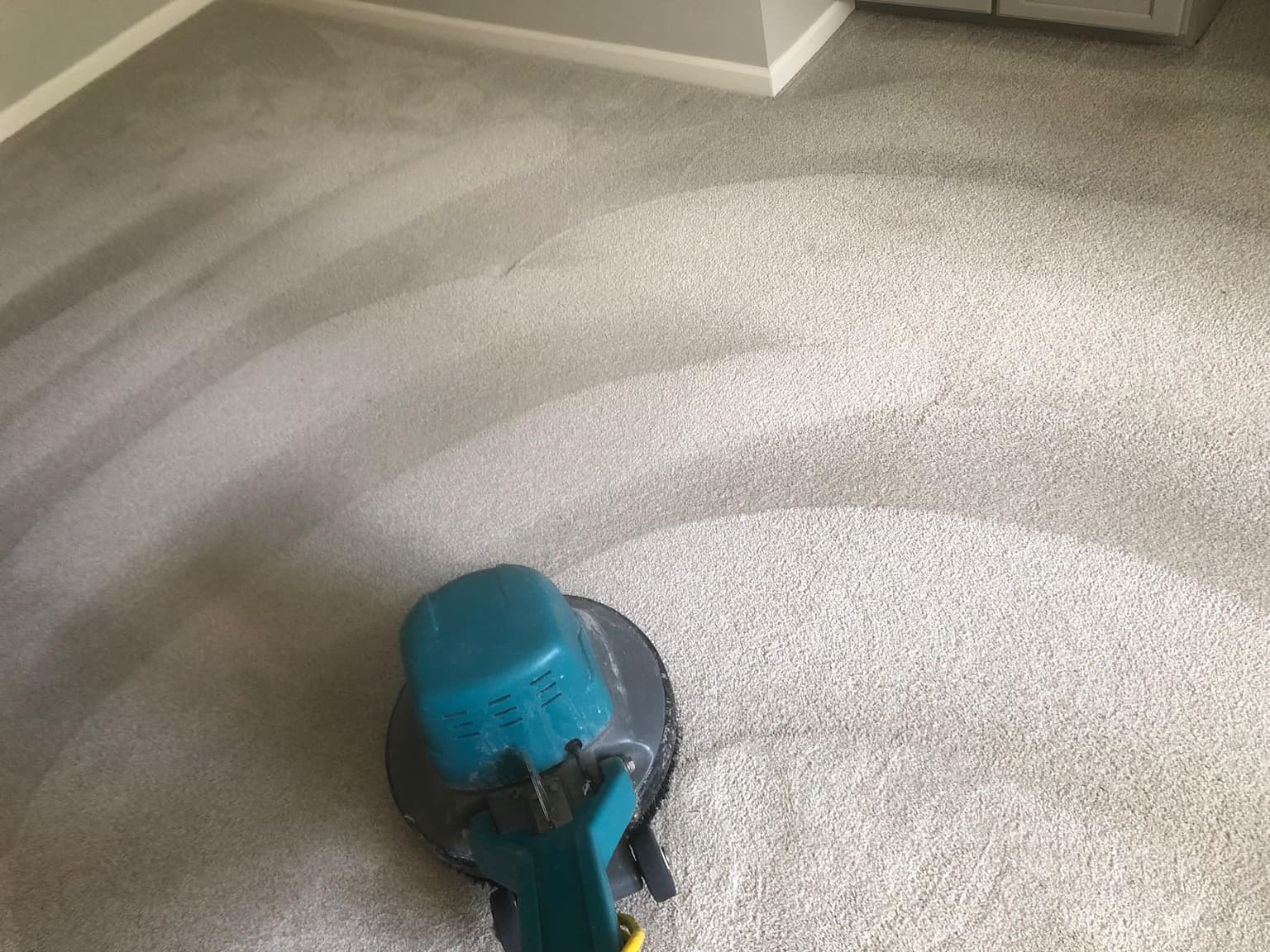 Carpet cleaning in Sylvan Park, TN