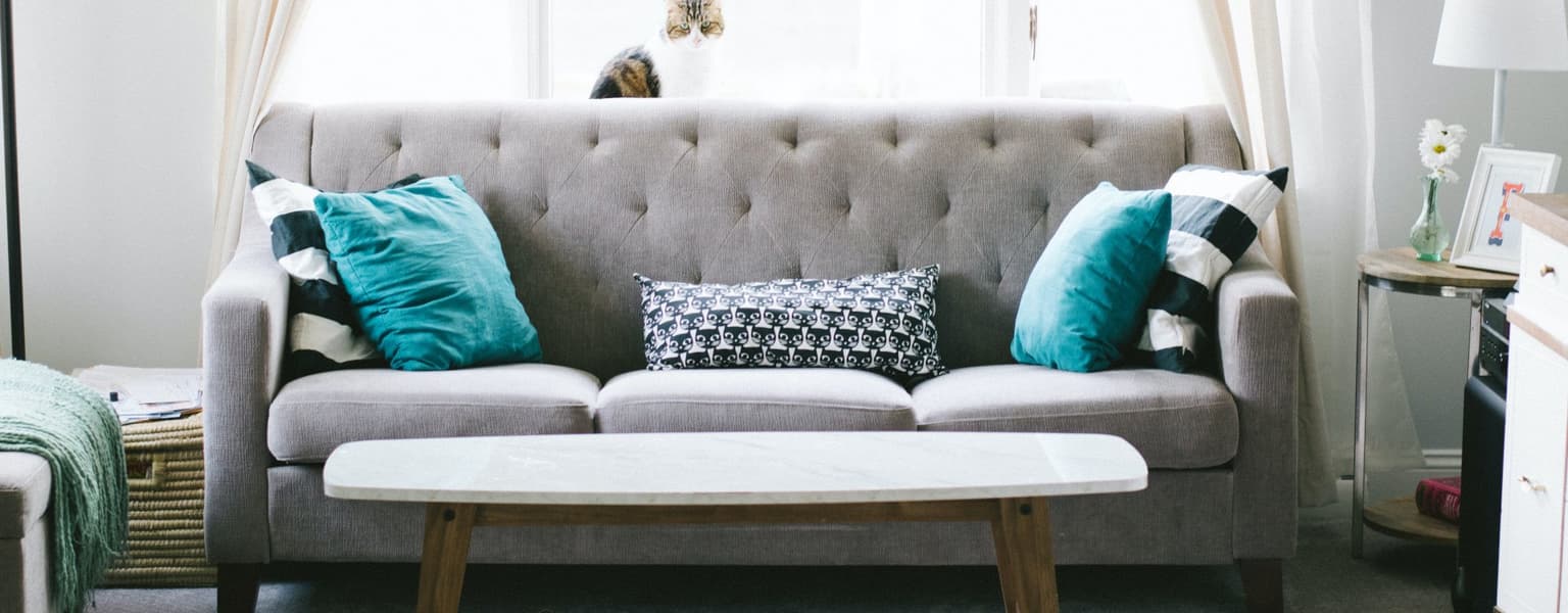 Upholstery Cleaning in Belle Meade TN